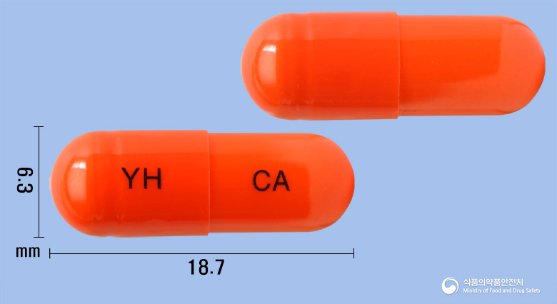 클로그렐에이캡슐