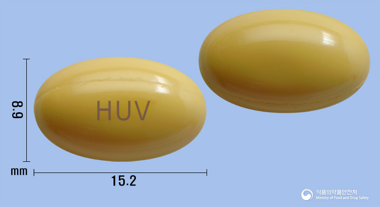 노보콜린연질캡슐(콜린알포세레이트)