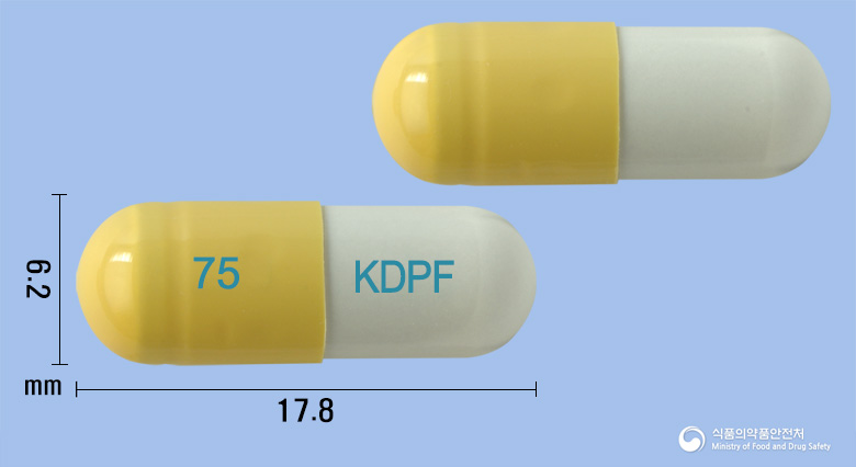 펜플루캡슐75밀리그램(오셀타미비르인산염)