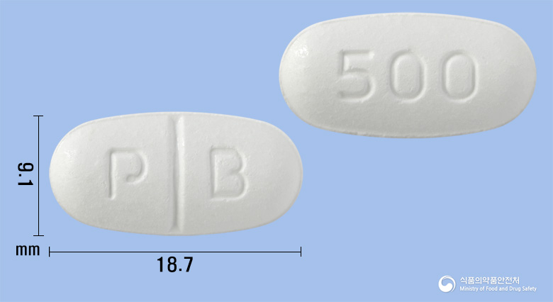 도베인정500밀리그램(도베실산칼슘수화물)