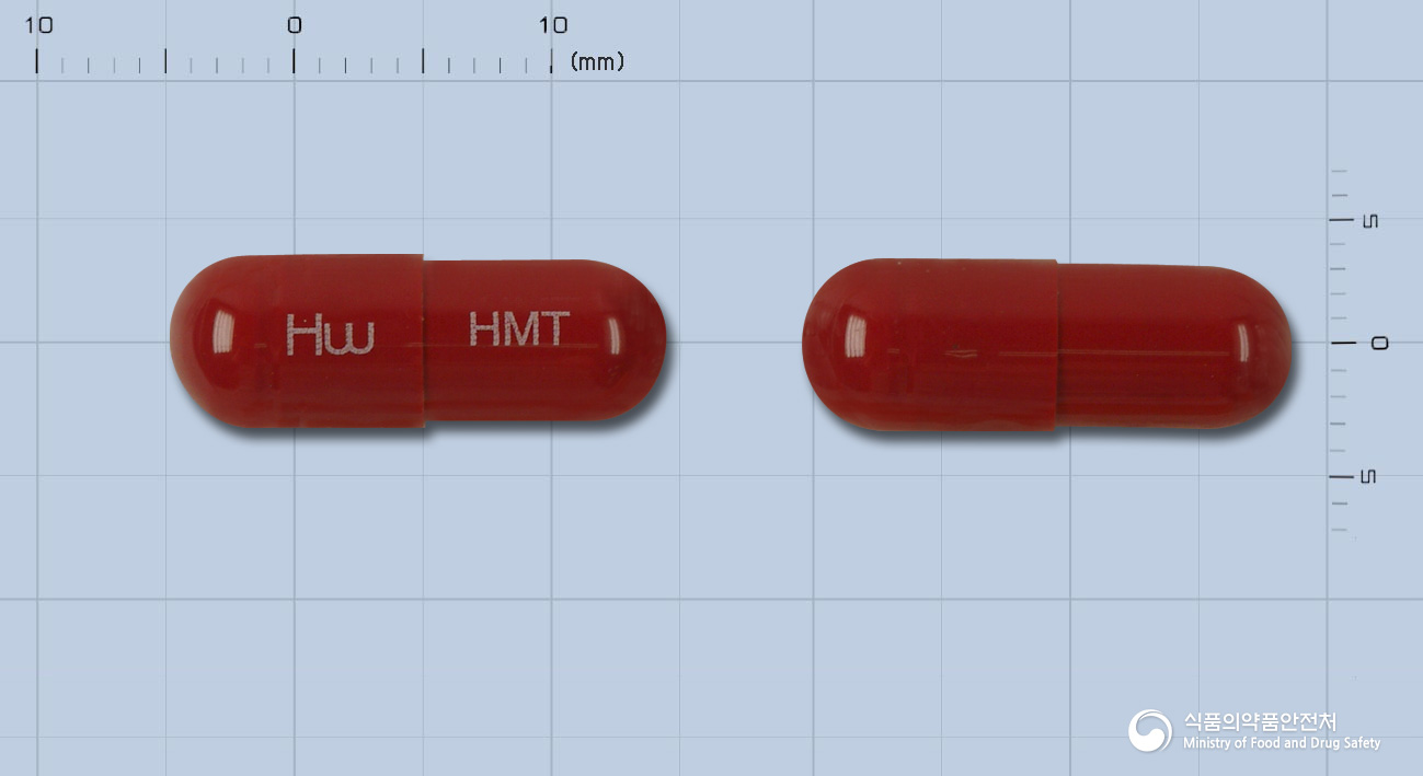 헤모톱캅셀(폴리삭카리드철착염)