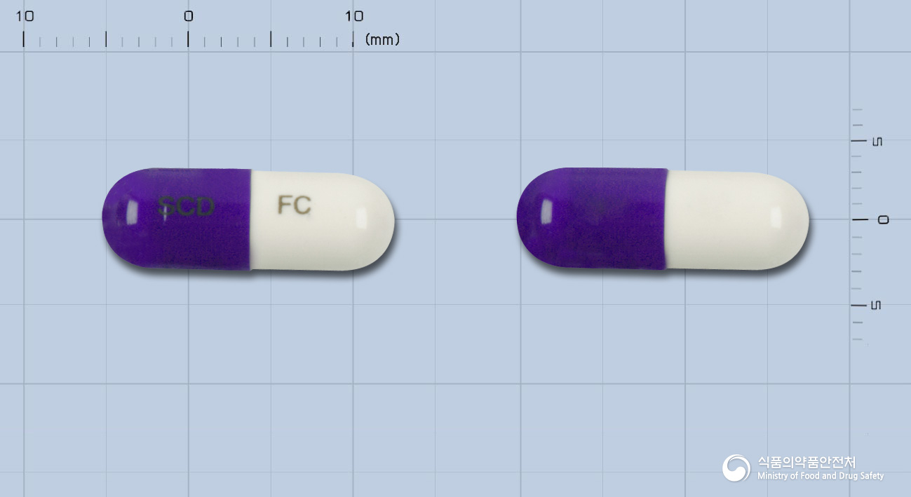 파클캡슐(세파클러수화물)(수출명:삼천당세파클러캡슐250mg)