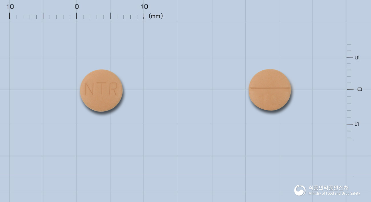 니트렌정10밀리그람(니트렌디핀)