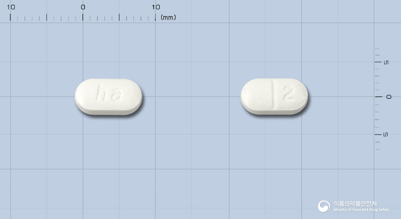 한올독사조신메실산염정2밀리그램