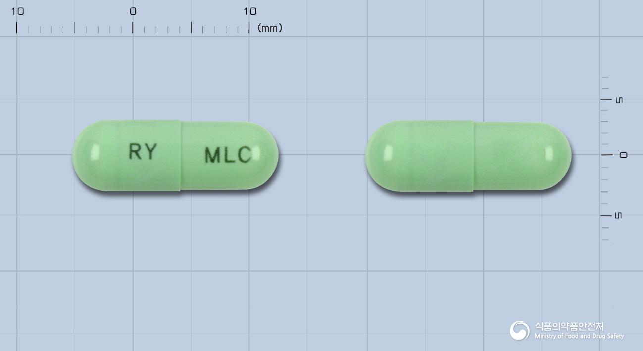 메록심캡슐(멜록시캄)