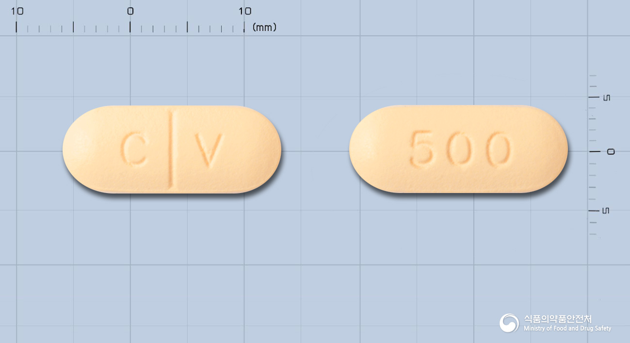 크라비트정500밀리그람(레보플록사신)