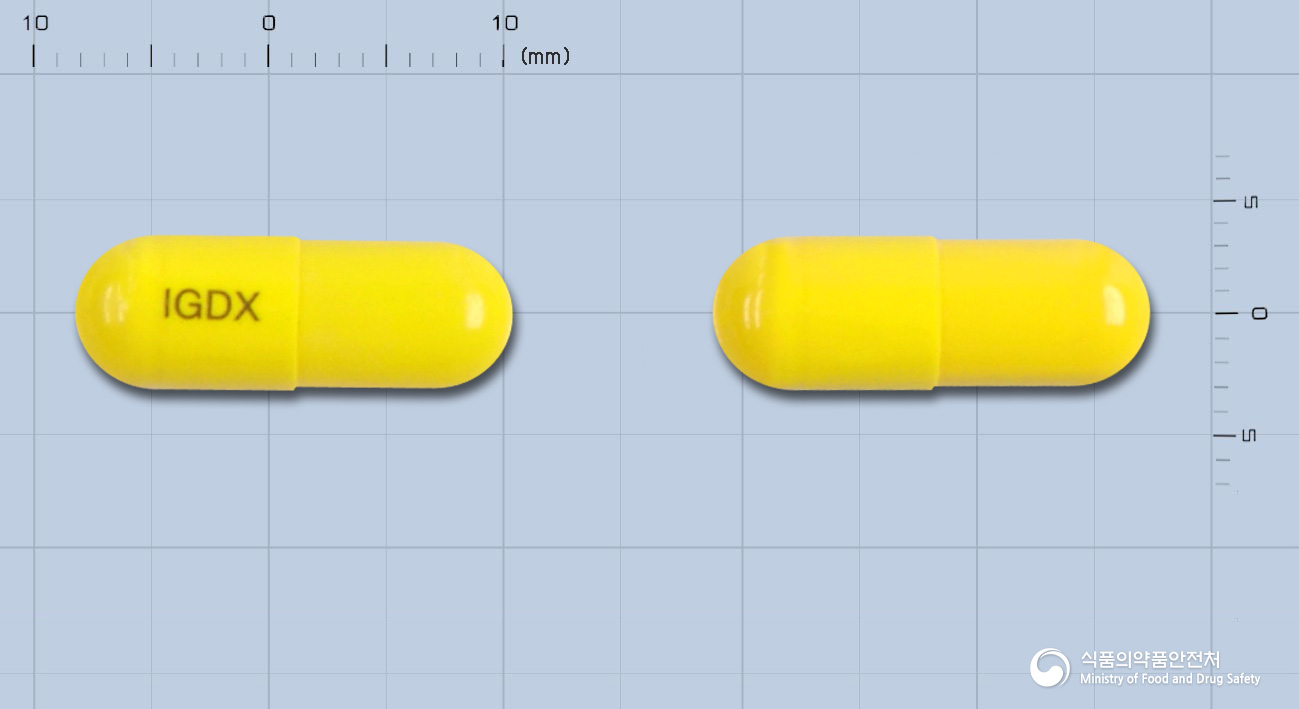 이가덱스캡슐