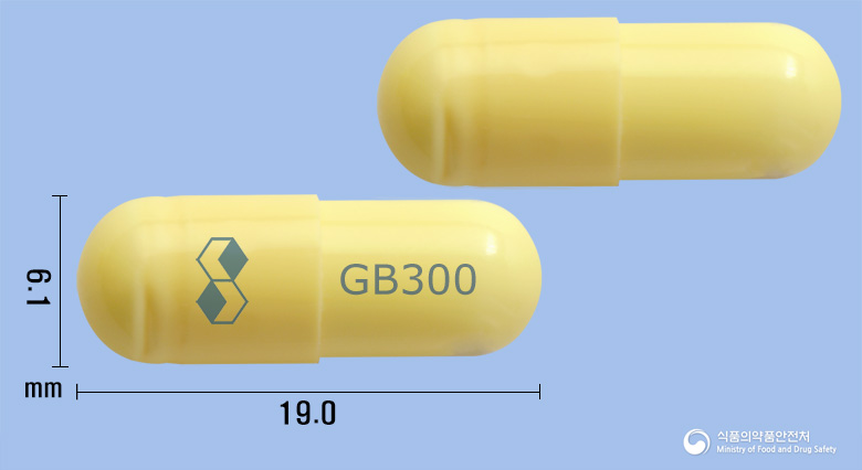 레고펜틴캡슐300밀리그램(가바펜틴)