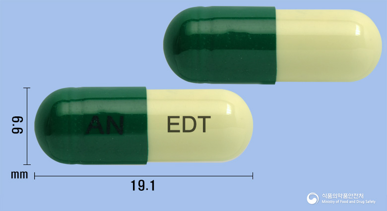 뉴에르도테캡슐(에르도스테인)