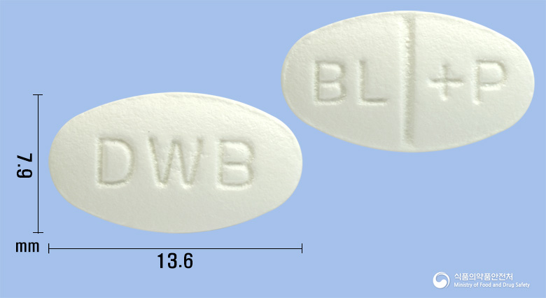 베아로탄플러스프로정