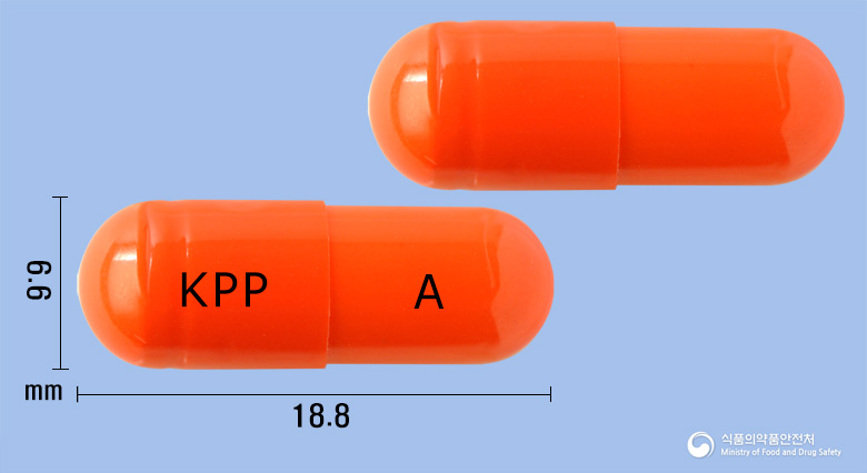 플빅스에이캡슐