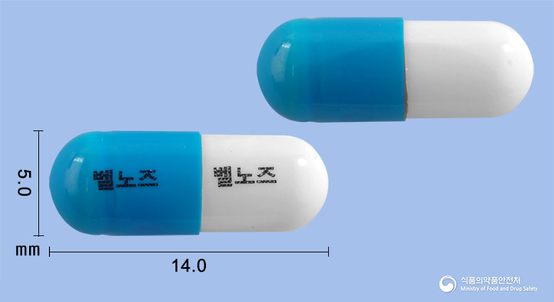 벨노즈캡슐