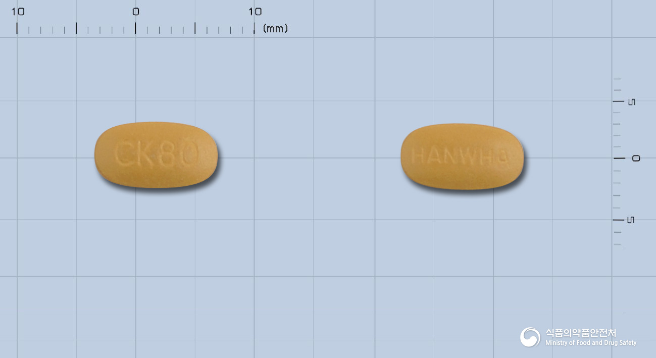 세보칸정(은행엽엑스)80mg