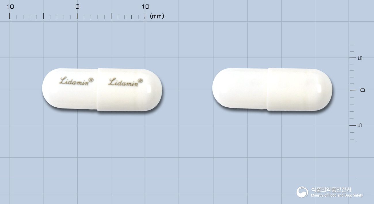 리다민캡슐(리다미딘염산염)