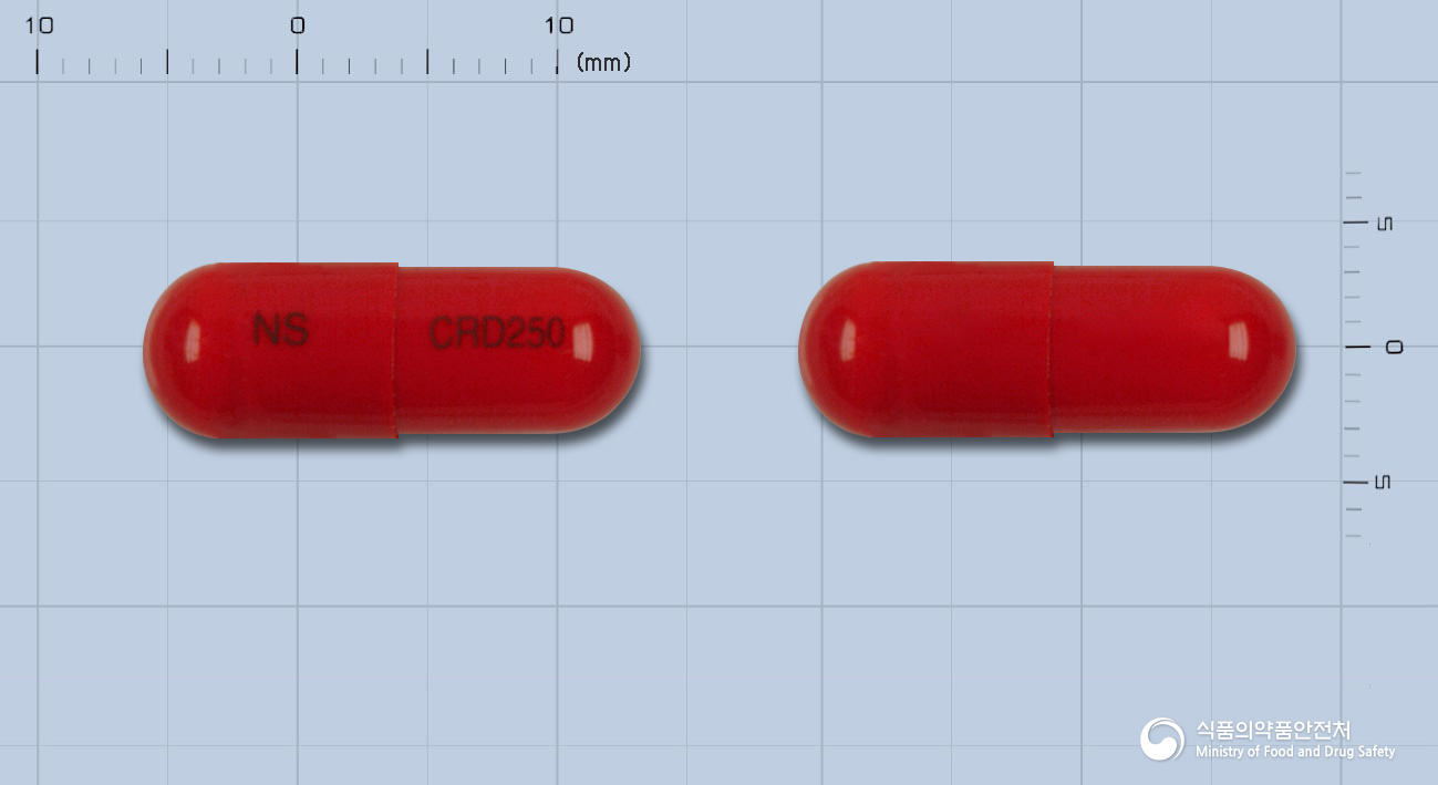 넬슨세프라딘캡슐250밀리그램(세프라딘수화물)