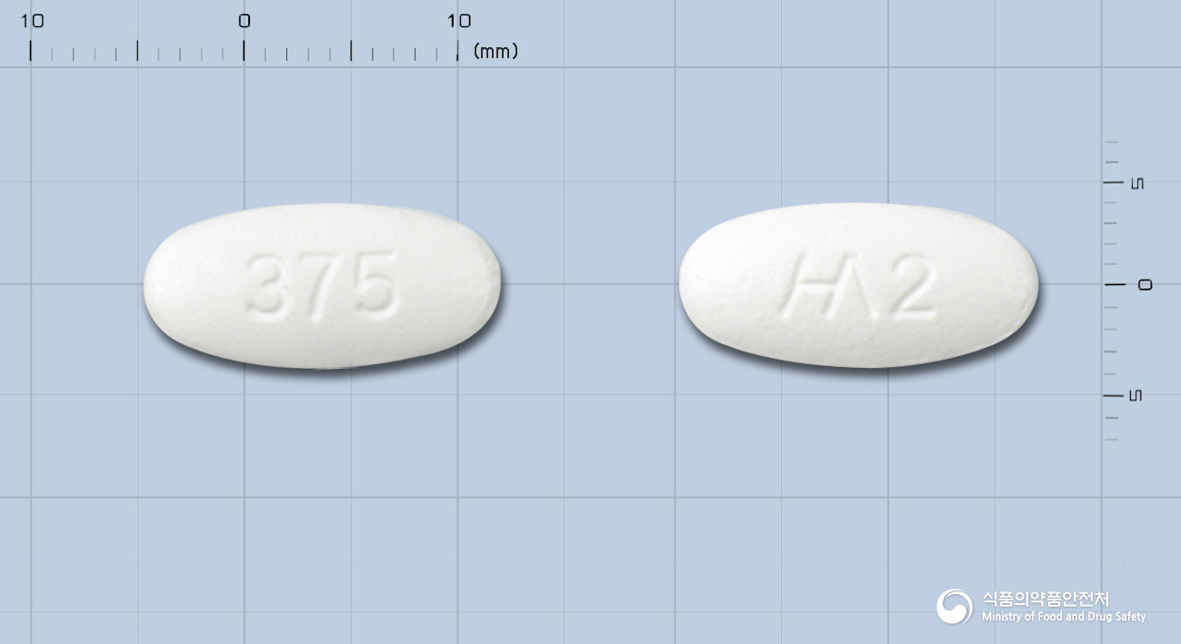 나노크라정375mg[아목시실린,클라불란산칼륨(2:1)]