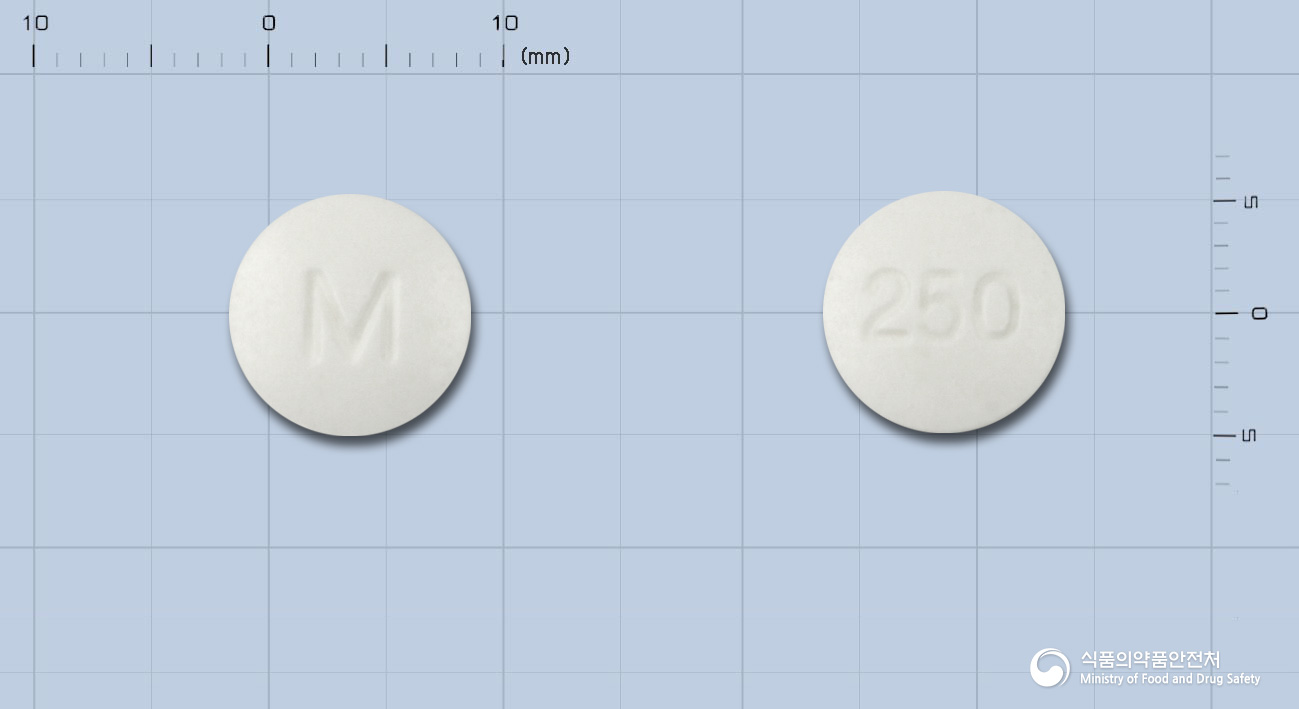 글루코파지정250밀리그램(메트포르민염산염)