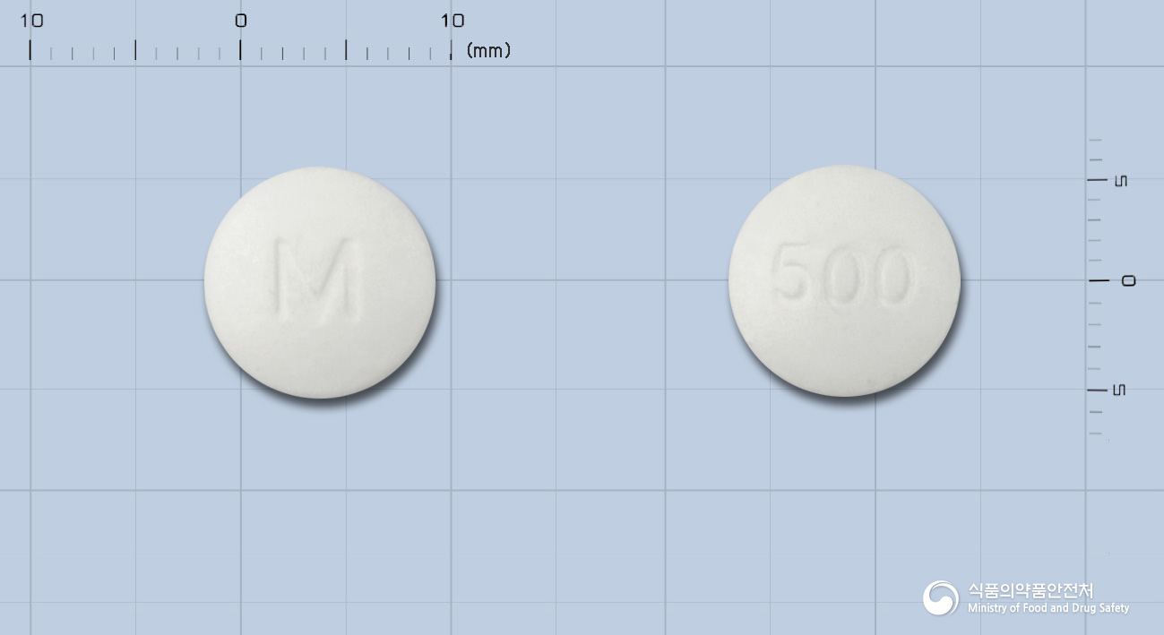 글루코파지정500밀리그램(메트포르민염산염)