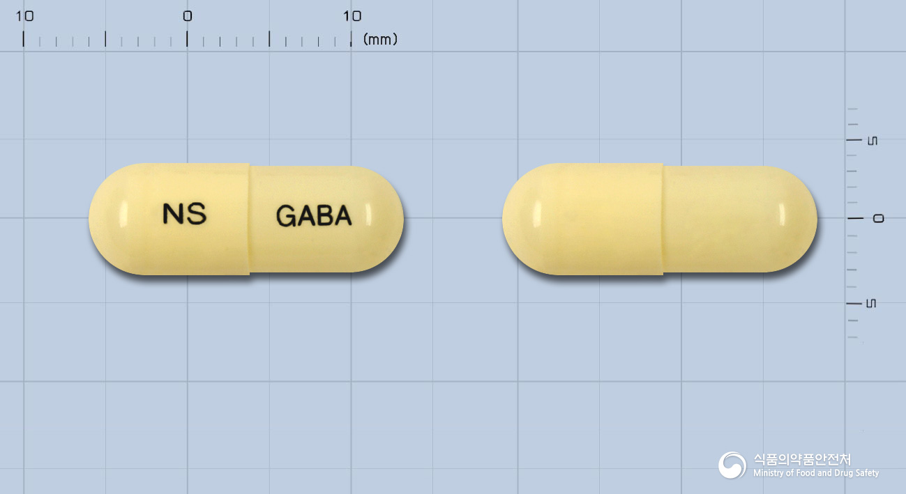 넬슨가바펜틴캡슐(가바펜틴)