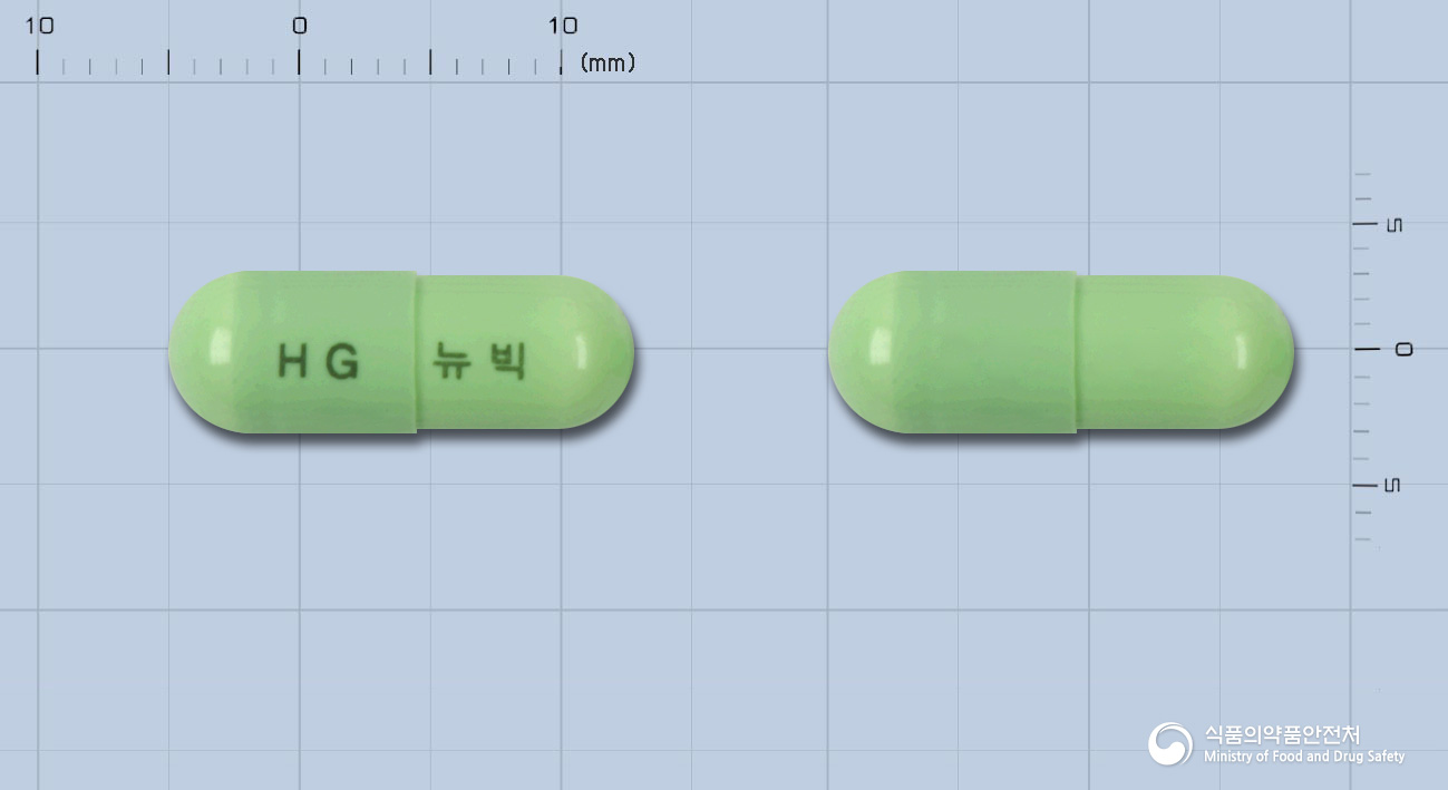 뉴빅캡슐(멜록시캄)