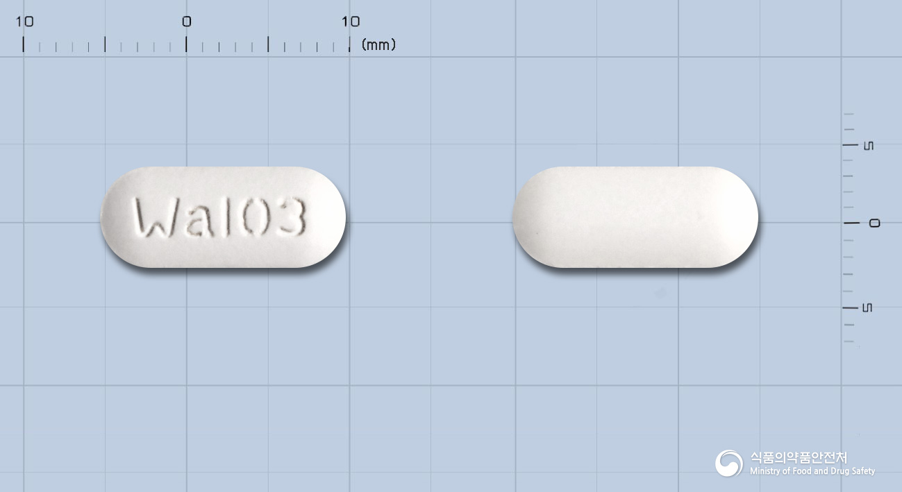 오스틴메페남산정500mg