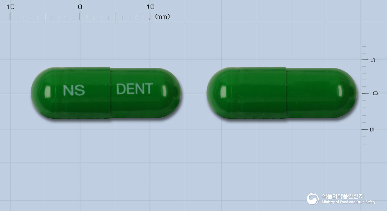 덴트탁스캡슐