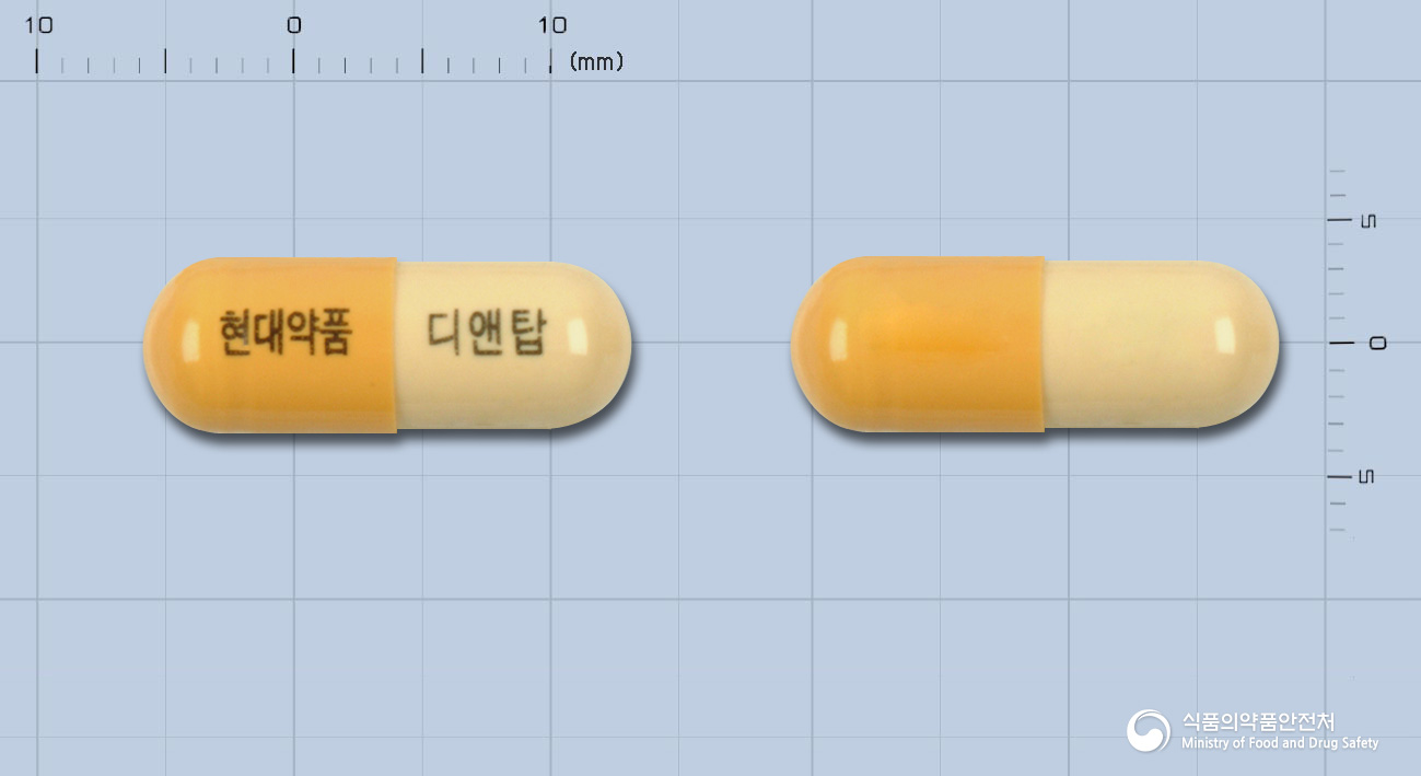 디앤탑캅셀