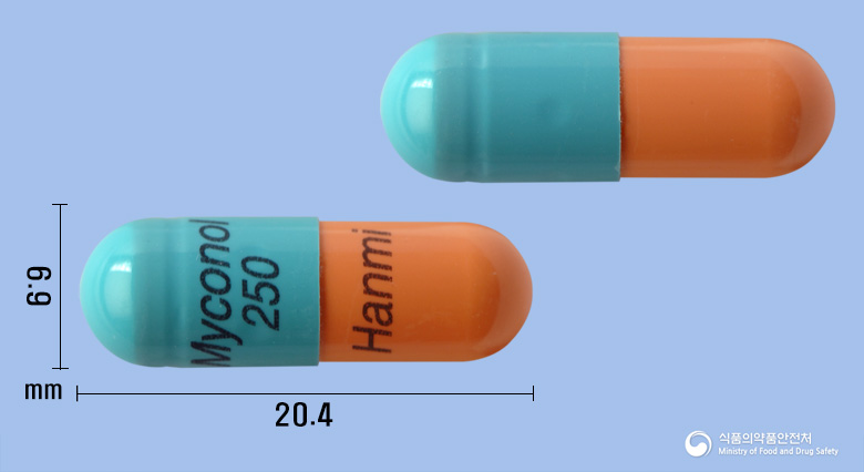 마이코놀캡슐250밀리그램(미코페놀레이트모페틸)