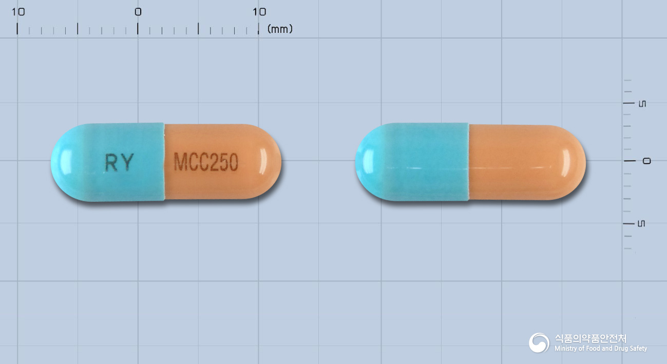 셀레트캡슐250mg(미코페놀산모페틸)