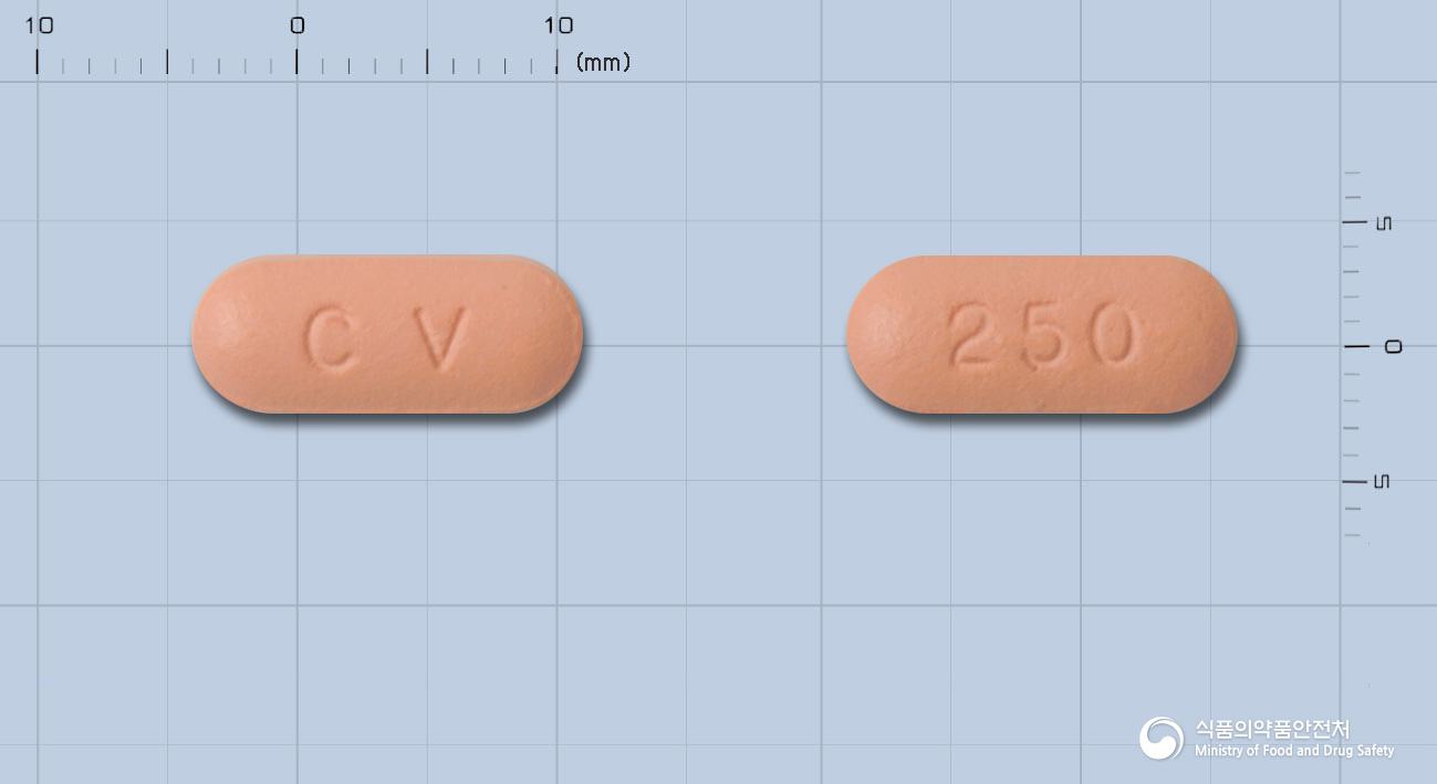 크라비트정250밀리그람(레보플록사신)