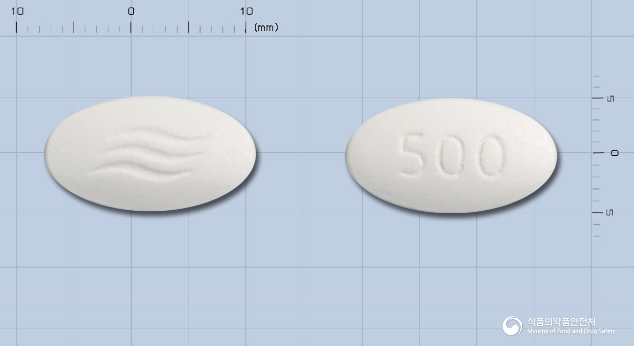 애니목스정500mg(아목시실린·피복실설박탐)