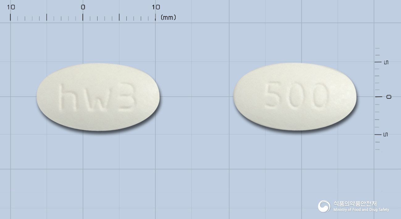 아목시브정500mg(아목시실린수화물·설박탐피복실)