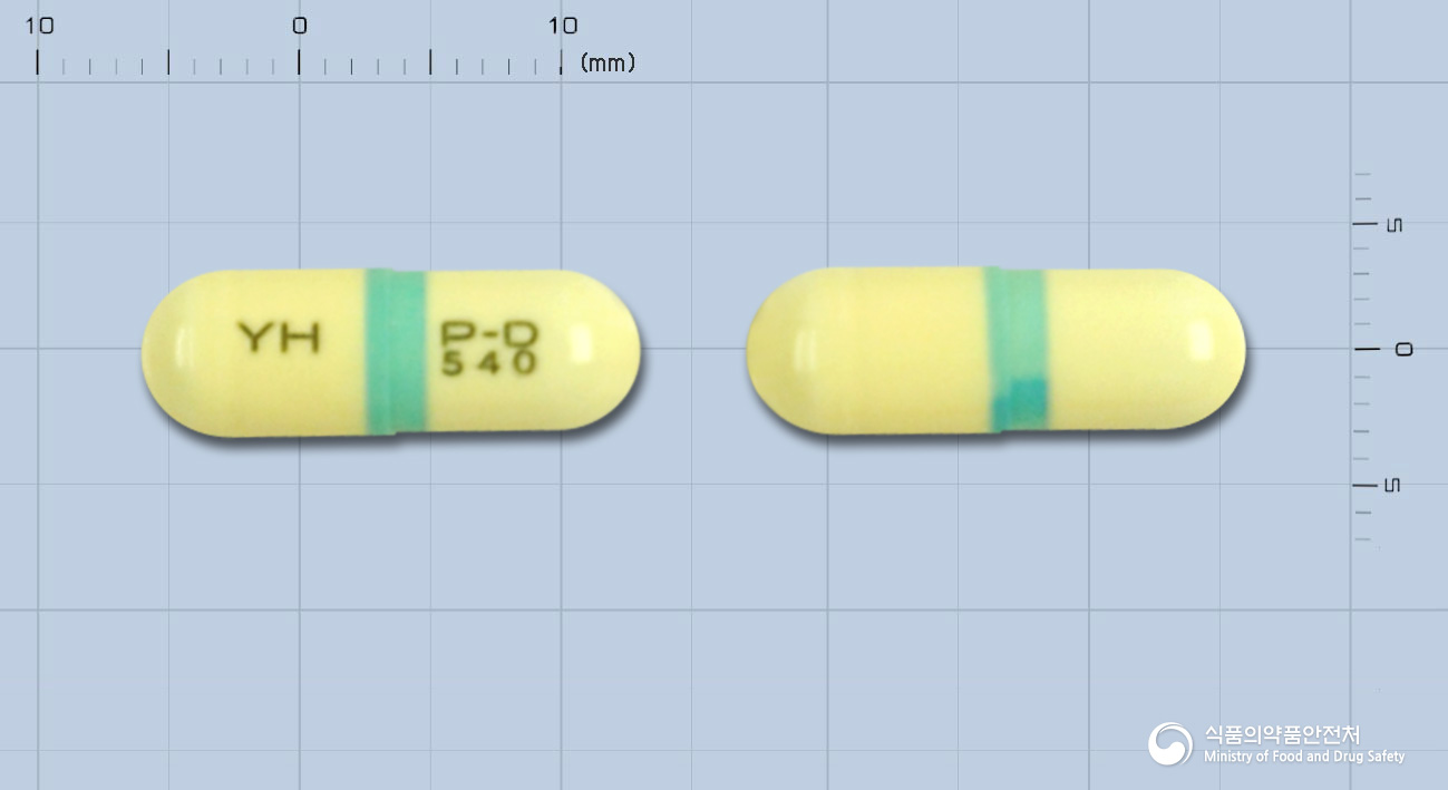 폰탈캡슐250mg(메페남산)