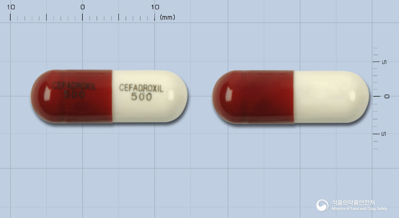 광동세파드록실캡슐500mg(세파드록실수화물)