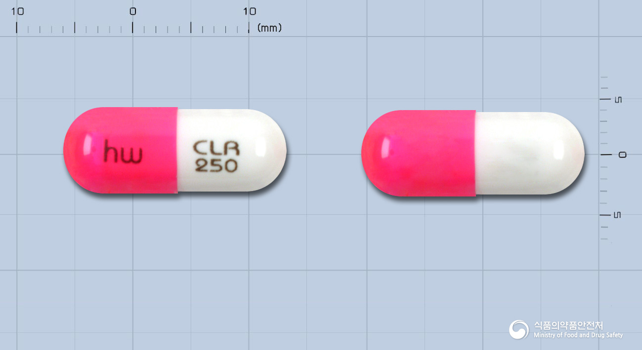 하원시클로세린캅셀