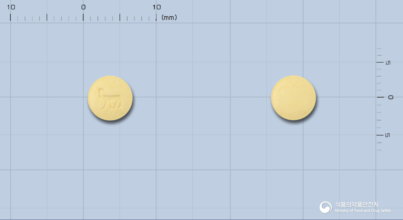 노보넘정1.0밀리그람(레파글리니드)