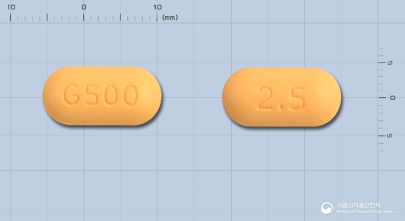 글루크린정500/2.5밀리그램