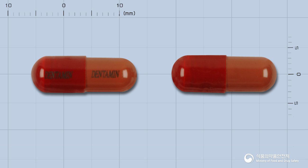 덴타민캡슐