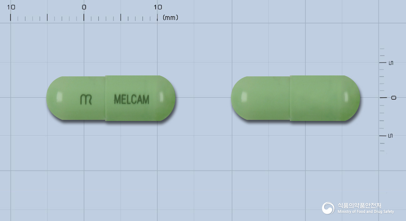 멜캄캡슐(멜록시캄)