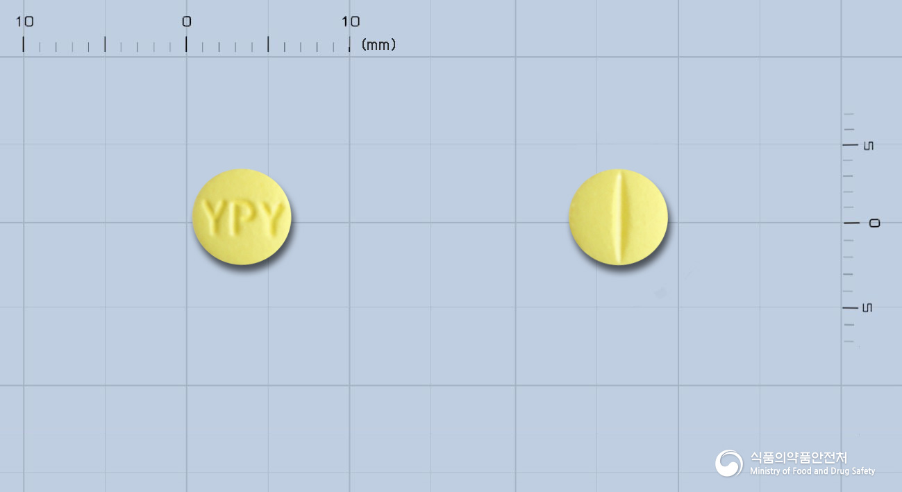 자르디핀정10mg(레르카니디핀염산염)