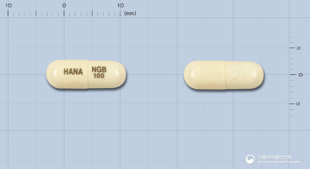 뉴가바캡슐100밀리그람(가바펜틴)