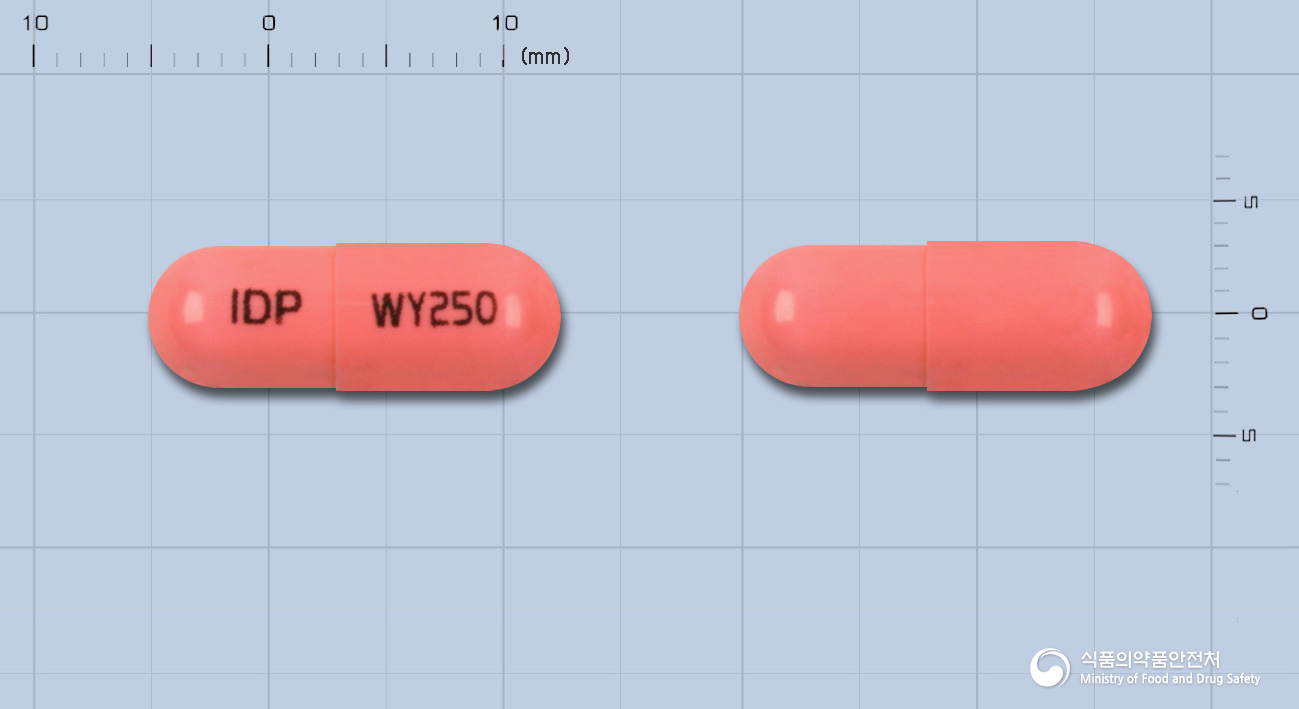 와이비탈캡슐250밀리그람(시클라실린)(수출명:일클라신캡슐250밀리그람)