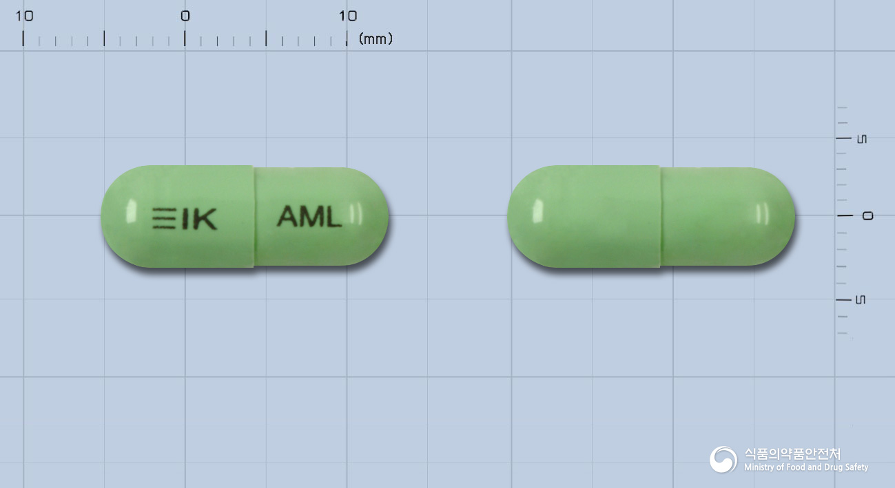 아모리아캡슐(멜록시캄)(수출명 : Amolex Cap., Mepedo Cap.)