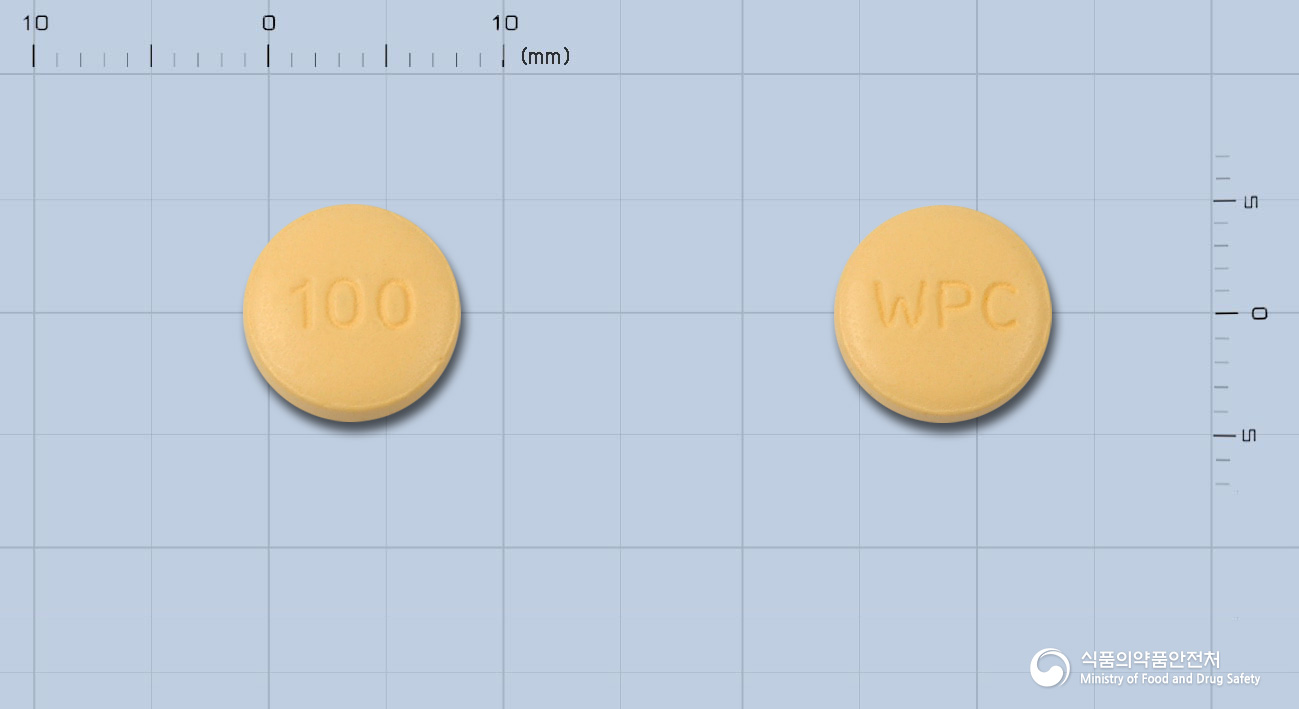토피라트정100밀리그램(토피라메이트)