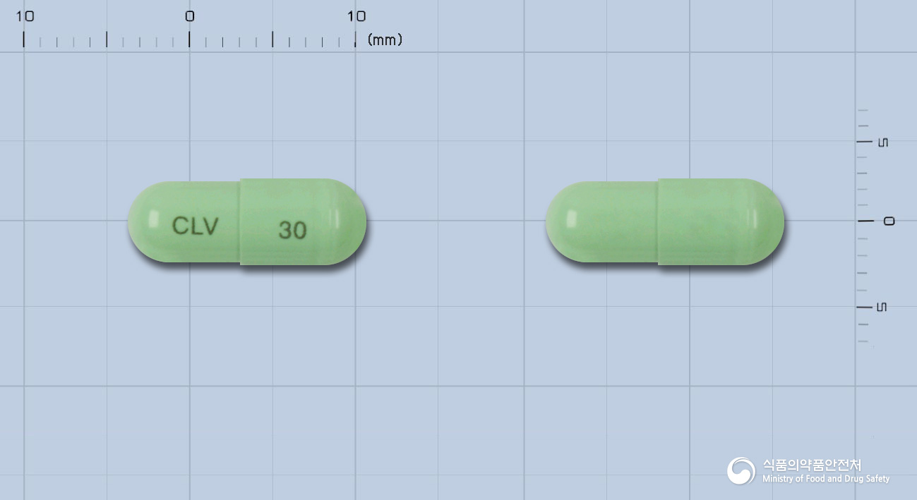 레보비르캡슐30밀리그램(클레부딘)
