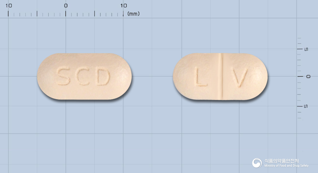 레보스타정500mg(레보플록사신)