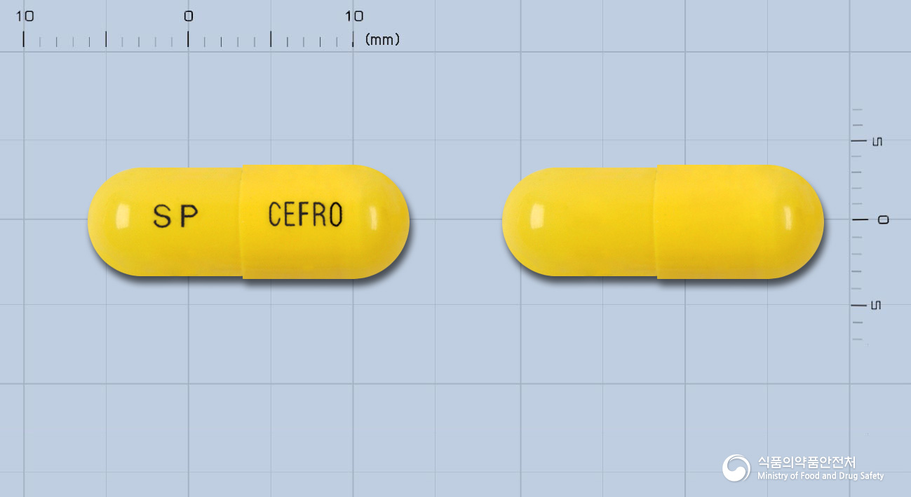 세프로캅셀(세파트리진프로필렌글리콜)