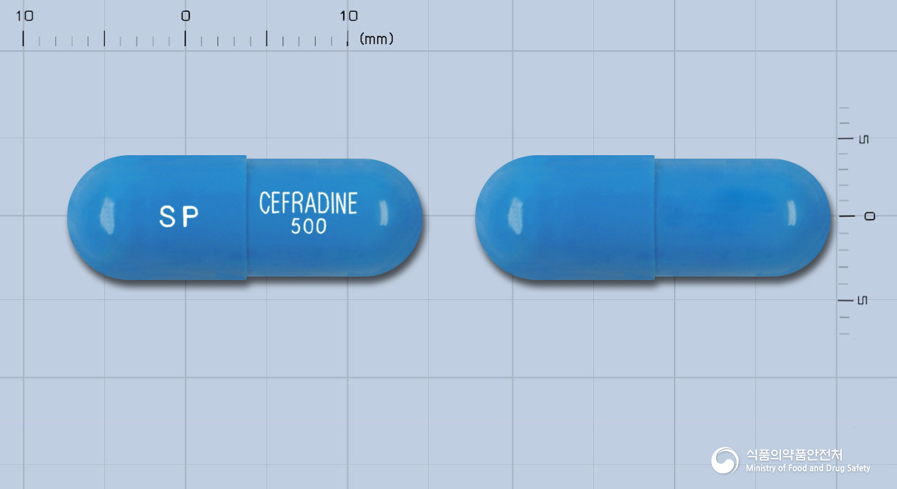 신풍세프라딘캡슐(수출명:CEFADIN Capsules, SHINPOONGCEFADIN Capsule 500mg)