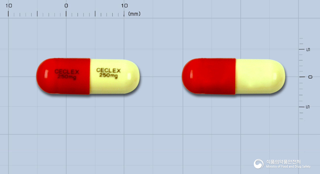 세클렉스캡슐250mg(세파클러수화물)