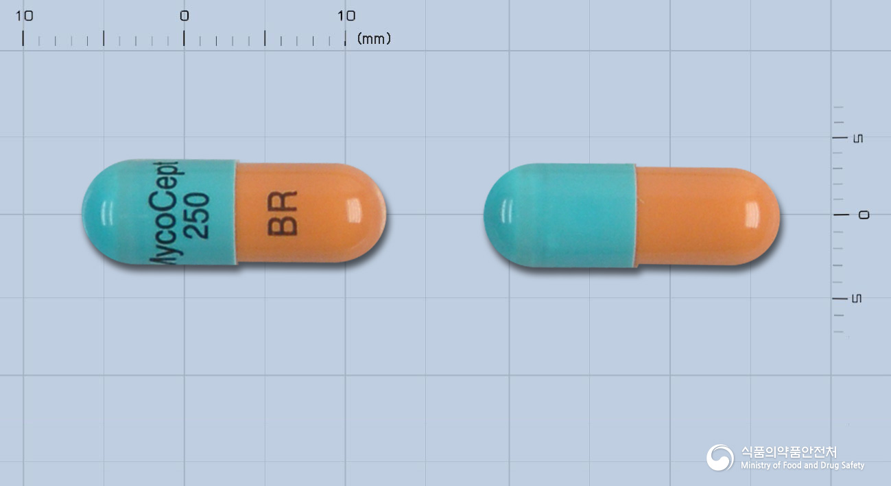 마이코셉트캡슐250mg(미코페놀산모페틸)